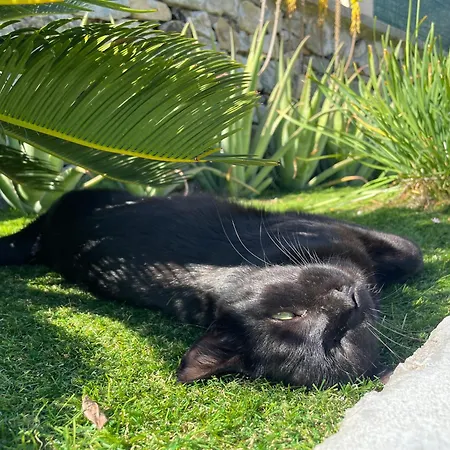 Konukevi Il Canneto Sestri Levante