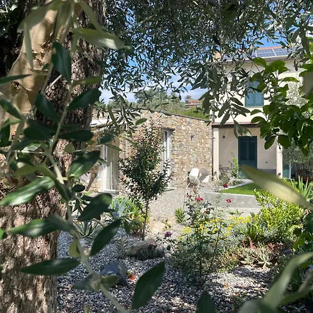 Il Canneto سيستري ليفانتي